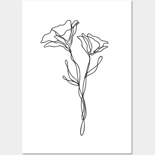 Wildflower Line Art | Floral Botanical Minimalist Lineart Posters and Art